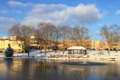 Pond in Winter