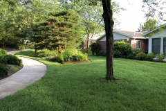 Cottages near Woods